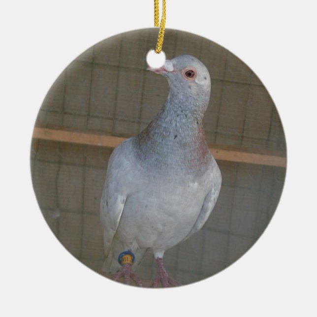 Competindo o ornamento do local (Frente)