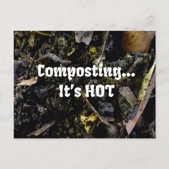 Compostagem... É cartão postal HOT (Frente)