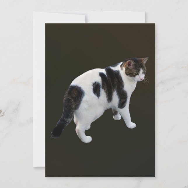Comprimido branco com adesivos escuros (Frente)
