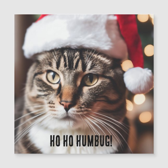 Comprimido Festivo (Frente)