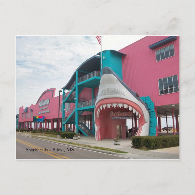 Compro Sharkhead Souvenir - Cartão postal Biloxi M (Frente)