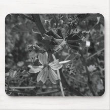 COMPUTADOR DESKMAT MOUSE PAD ART&DESIGN