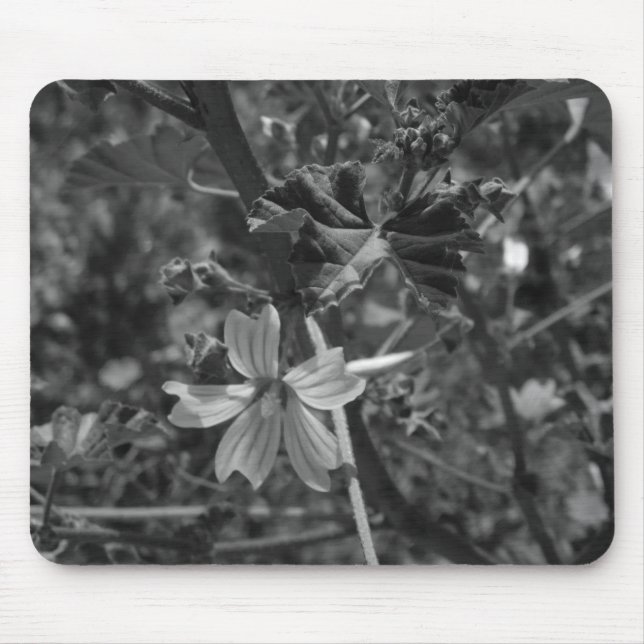 COMPUTADOR DESKMAT MOUSE PAD ART&DESIGN (Frente)