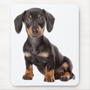 Computador Mousepad do cão de filhote de cachorro