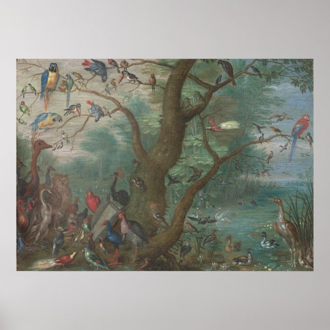Concertos de Aves - Jan van Kessel Fine Art Poster (Frente)
