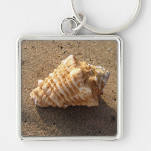Conch Sea Shell Sand Beach Chaveiro