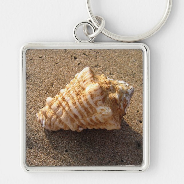 Conch Sea Shell Sand Beach Chaveiro (Frente)