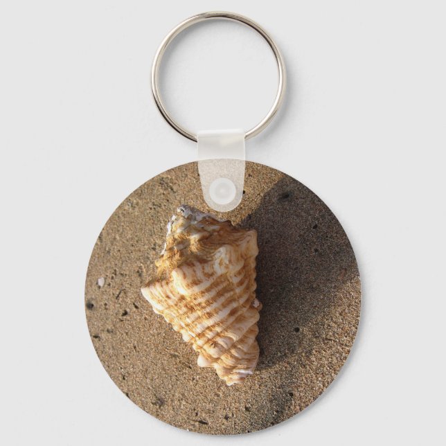 Conch Shell Chaveiro (Cor) (Frente)