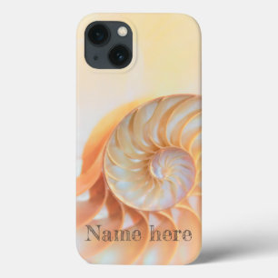 Concha de Seashell nautilus espiral iPhone / iPad