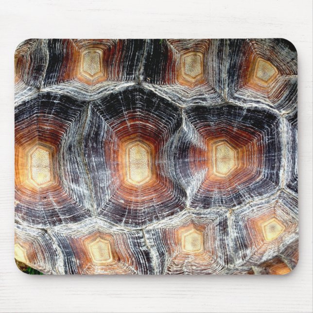 Concha de tartaruga Mousepad de Sulcata (Frente)