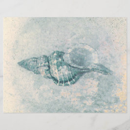 Concha Marinha Verde Água Bege Vintage Textura Pra