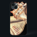 Conchas Artísticas<br><div class="desc">Jennifer Goldberger tem uma coleção incrível de arte capturando as pérolas do oceano. Nesta linda,  clássica pintura de cor neutra,  estes dois conchas são o principal objeto da imagem. Coloque esta arte náutica estilizada em seus produtos favoritos hoje!</div>