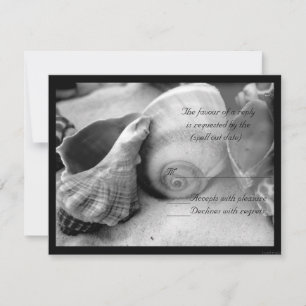 conchas brancas e areia bw rsvp