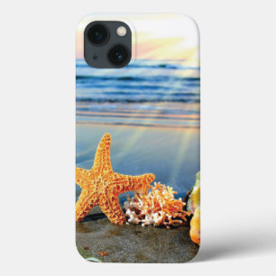 Conchas marítimas e estrelas-do-mar na praia