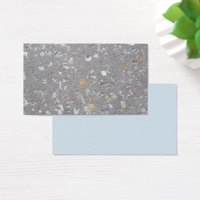 Conchas marítimas em concreto (Mesa)