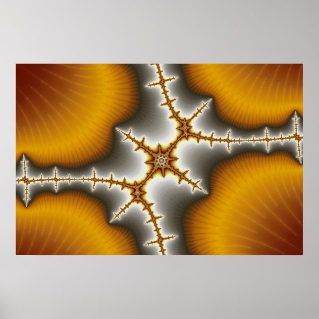 Conchas - Poster Fractal (Frente)