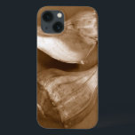 Conchas Sensuais<br><div class="desc">Renee W. Stramel captura essas conchas em um belo tom de sepia. Esta obra de arte safra é uma adição perfeita a qualquer amante de anêmonas marinhos. Pegue seu impressão de arte hoje em dia em seu produto.</div>