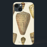 Conchas Vintage Cone<br><div class="desc">O artista Denis Diderot é talentoso e conhecido por suas imagens da vida no mar excelente. Nesta imagem vívida, ele captura estes conchas estaladas Conch conchas no seu estilo mais natural. Conchas são frequentemente fissuradas como estas quatro conchas e com um tom de aparência sépia. Pegue seu produto de concha...</div>