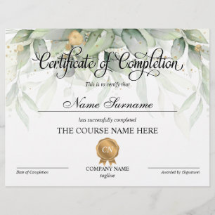 Conclusão do curso de Prêmio de certificado de c