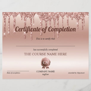 Conclusão do curso de Prêmio do certificado de con