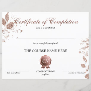 Conclusão do curso de Prêmio do certificado de con