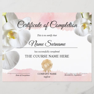 Conclusão do curso de Prêmio do certificado de con