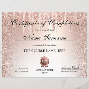 Conclusão do curso de Prêmio do certificado de con