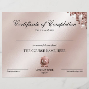 Conclusão do curso de Prêmio do certificado de con