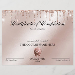 Conclusão do curso de Prêmio do certificado de con