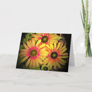 Coneflower, cartão