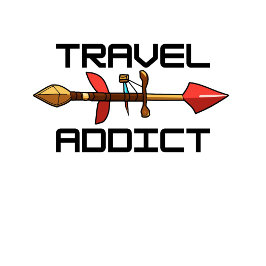 Confie na camisa do seu gato de esforço