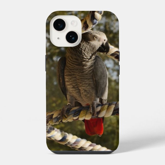 Congo African Grey num Balanço Case-Mate Capinha d (Verso)