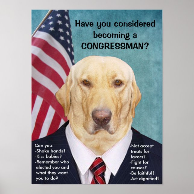 Congressista Funny Lab Poster (Frente)
