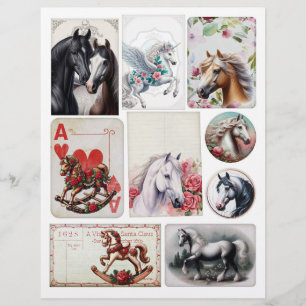 Conjunto bonito de Ephemera Temida Misturada de Ca