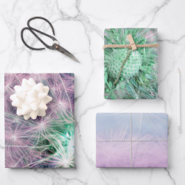 Conjunto de 3 cabeças de semente de Dandelion dese