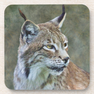 Conjunto de 6 Porta-Copos de Lince Siberiano