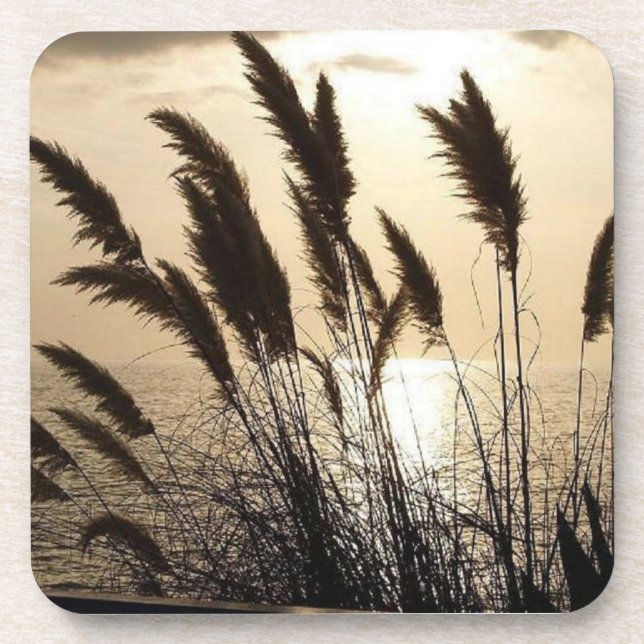 Conjunto de 6 Porta-Copos de Plástico Resistente - (Frente)