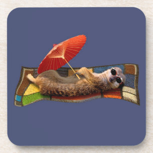 Conjunto de 6 Porta-copos Magic Carpet Ride