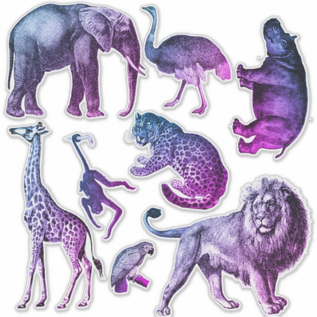 Conjunto de Adesivos de Animais de Zoo Tinado (Frente)