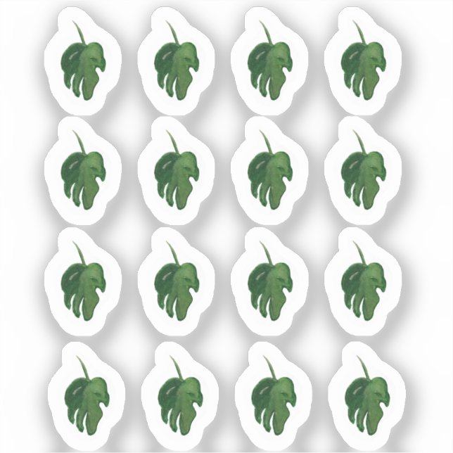 Conjunto de Adesivos de Folha de Monstera Aquarela (Frente)