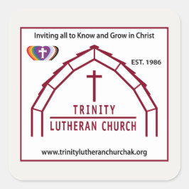 Conjunto de adesivos do logotipo Trinity de 20