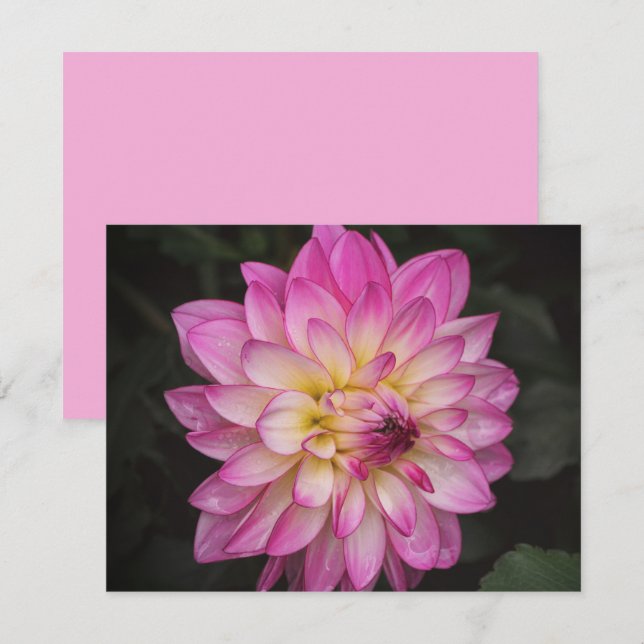 Conjunto de Cartões de Nota com Arte de Flor de Dá (Frente/Verso)