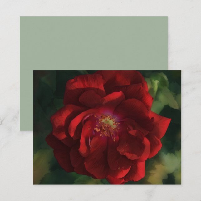 Conjunto de Cartões de Nota de Arte de Flor Rosa V (Frente/Verso)