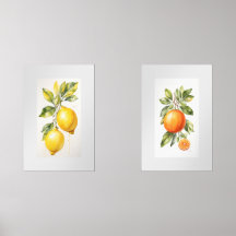 Conjunto de duas Impressões de Fruta de Aquarela d