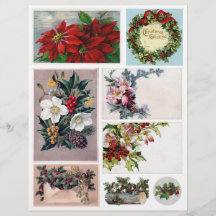 Conjunto de etiquetas de flores vitorianas da époc