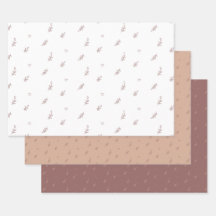 Conjunto de Folhas Planas de Papel de Encapsulamen