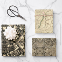 Conjunto de folhas planas de papel de enrolamento