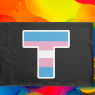 "Conjunto de fronhas Capital T Orgulho Trans"