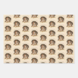 Conjunto de papel de enrolamento de gatos de inver