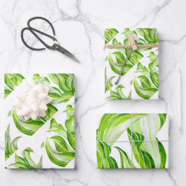 Conjunto de papel de enrolamento 'Hosta com a Most